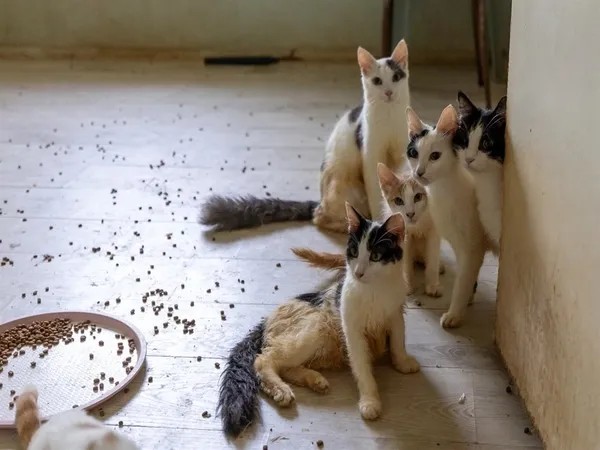 Ekipler Şok Oldu! Çöp Ev Beklerken...